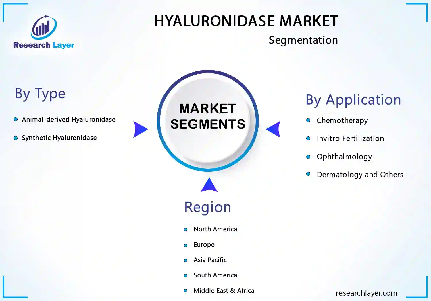 Hyaluronidase Market